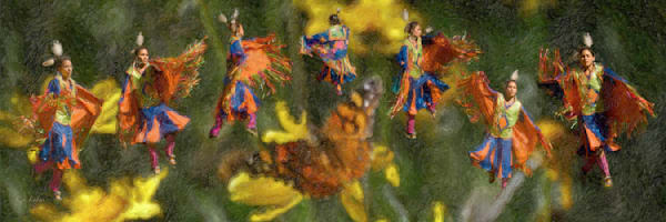 Fluttering Flight Of Shawl Dancer Photography Art | Art Beyond Control