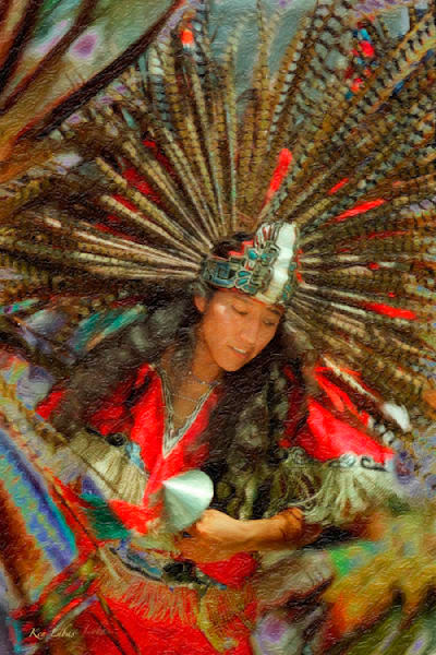 Poinsettia Photography Art | Art Beyond Control