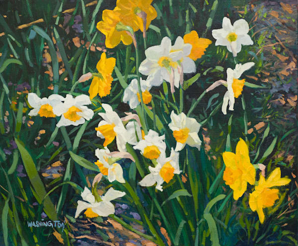 'daffodils In Light' Art | Joe Washington Gallery