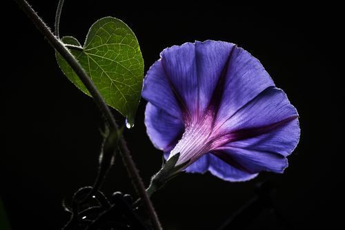 Mdawmdawmdawmdaw7qgraepd6cacehr zcfbfywxu2fyveayeunrgwctqqqltnerwweter63pcjycyco7l3wiuogn kt3kdxisuxleezsg0dkufccjsgzqqsaohdr379gmp1oxdelhxrvjkkfq lb4wqekaegi1bzn57myznbuk0ytzjawlfzhjf7jgbrya3of8gqdxavvssquwemmmui7vdwkww9kwvskevmsdshfosieuiruwz4ab9pe8x58fqvtqeh784cosrhhq3z5ljaoeewiqz4h5h1ij5egfmkg5ory4llp9tpcdaorhkdek