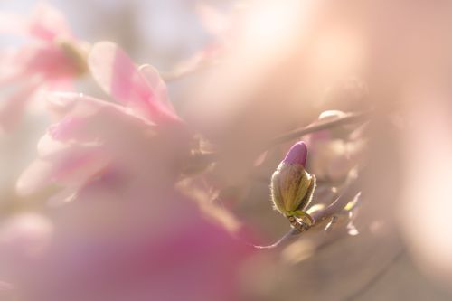 Mdawmdawmdawmdaw7qgraepd6cacehr zcfbfywxu2fyveayeunrgwctqqqltnerwweter63pcjycyco7l3wiuogn kt3kdxisuxleezsg0dkufccjsgzqqsaohdr379gmp1oxdelhxrvjkkfq lb4wqekaegi1bzn5ynzzse3gbb zqemlzzumeuzymenrhof8gqdxxuvwqq wemmmui7vdwkww9kwvskevmsdshfosieuiruwz4ab9pe8x58fqvtqeh784cosrhhq3z5ljaoeewiqz4h5h1ij5egfmkgqt0avnmqt obp 3lw ohe