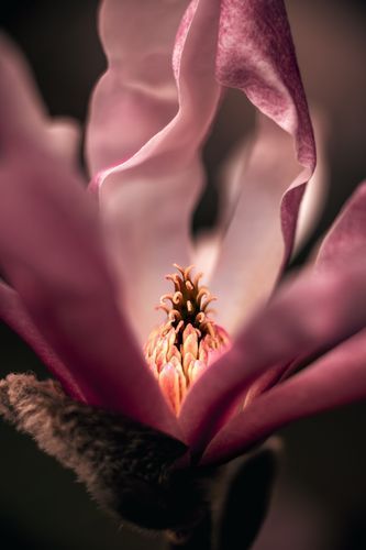 Mdawmdawmdawmdaw7qgraepd6cacehr zcfbfywxu2fyveayeunrgwctqqqltnerwweter63pcjycyco7l3wiuogn kt3kdxisuxleezsg0dkufccjsgzqqsaohdr379gmp1oxdelhxrvjkkfq lb4wqekaegi1bzn5ynzzse3gbb zqemldyudyvphefx09of8gqdxxvfcrqoyemmmui7vdwkww9kwvskevmsdshfosieuiruwz4ab9pe8x58fqvtqeh784cosrhhq3z5ljaoeewiqz4h5h1ij5egfmkvavhgrp1ny21 jmwybv3ko