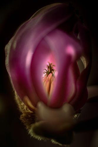 Mdawmdawmdawmdaw7qgraepd6cacehr zcfbfywxu2fyveayeunrgwctqqqltnerwweter63pcjycyco7l3wiuogn kt3kdxisuxleezsg0dkufccjsgzqqsaohdr379gmp1oxdelhxrvjkkfq lb4wqekaegi1bzn5ynzzse3gbb zqemlfmeae78fcqiayof8gqdxxvfcoresemmmui7vdwkww9kwvskevmsdshfosieuiruwz4ab9pe8x58fqvtqeh784cosrhhq3z5ljaoeewiqz4h5h1ij5egfmkifyaymufsijagtlafdanea