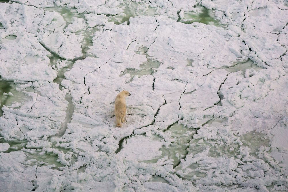Ice Pedition Photography Art | Kim Clune Daydreams