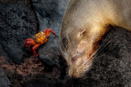 Mdawmdawmdawmdaw7qgraepd6cacehr zcfbfywxu2fyveayeunrgwctqqqltnerwweter6yomfiojy24adow ljj7f22f2vd2s3k0fn 38ezqodftc2xeuhdjufahdziomokxodj3hs jg da6ji5eudq olwagpj5emn5dzwitetrye2lanuri snfgy1nof8hqnpbuvomteoemmmui7vdwkww9kwvskevmsdshfosieuiruwz4ab9pe8x58fqvtqeh784cosrhhq3z5ljaoeewiqz4h5h1ij5egfmkpta3ppzwo5dtumlejs1keq