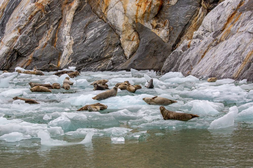 Rafting Photography Art | Kim Clune Daydreams