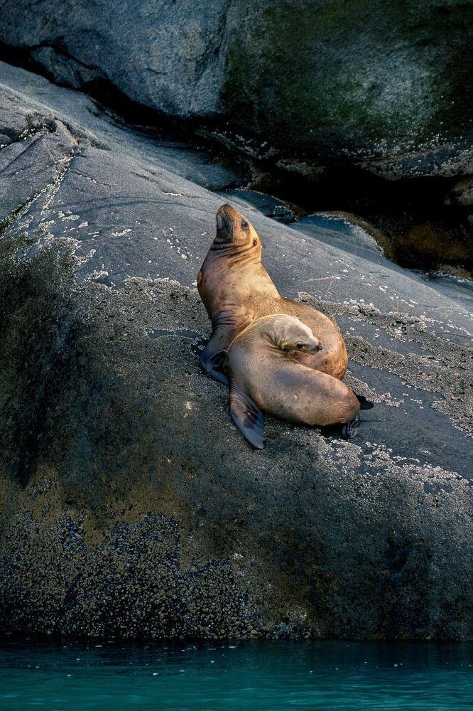 Rock Sausage Photography Art | Kim Clune Daydreams