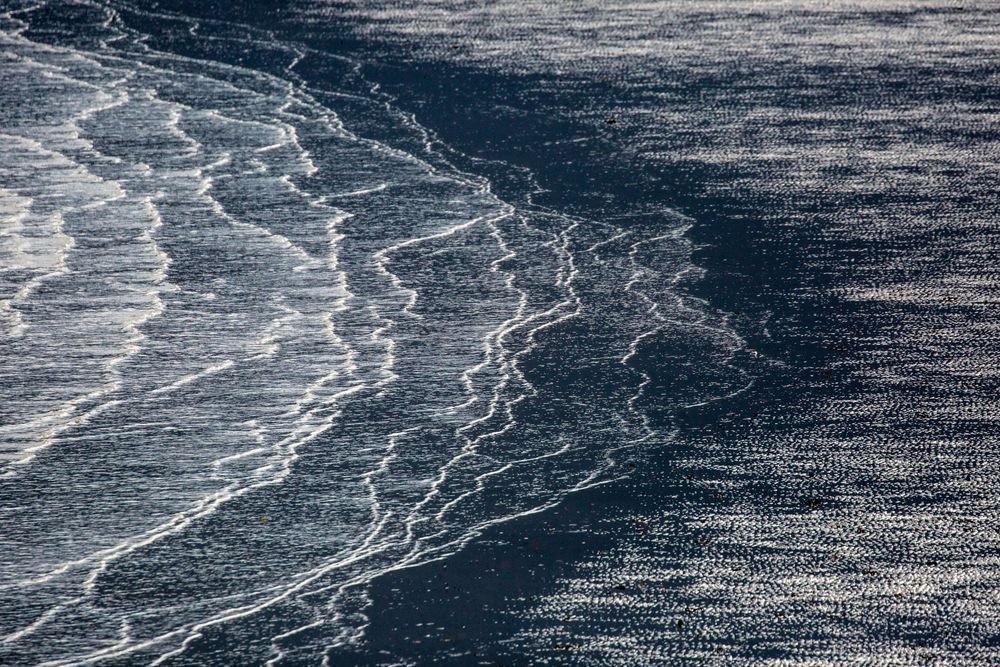 Chilkat Estuary, Alaska Photography Art | Kim Clune Daydreams