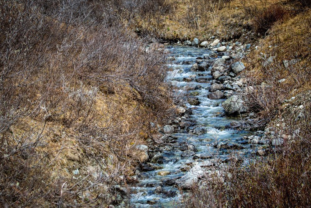 Stream, Yukon Territory Photography Art | Kim Clune Daydreams