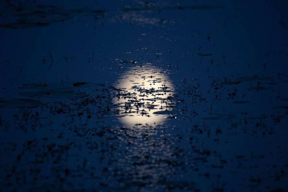 Moon Water, Saratoga Springs Photography Art | Kim Clune Daydreams