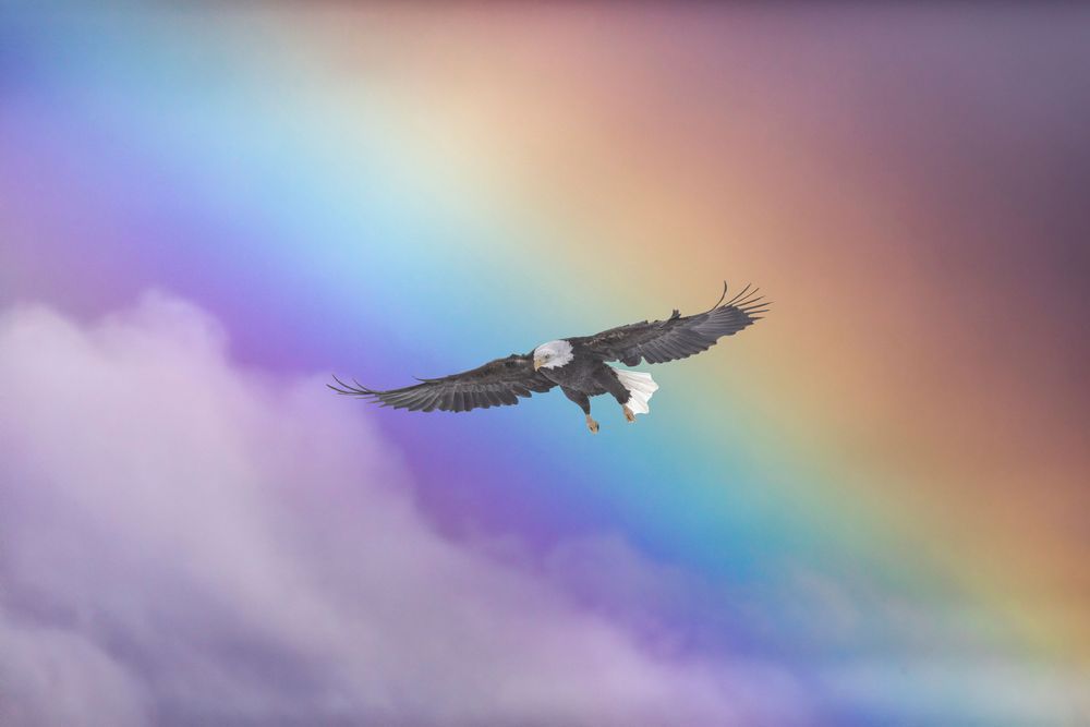 Prismatic Eagle