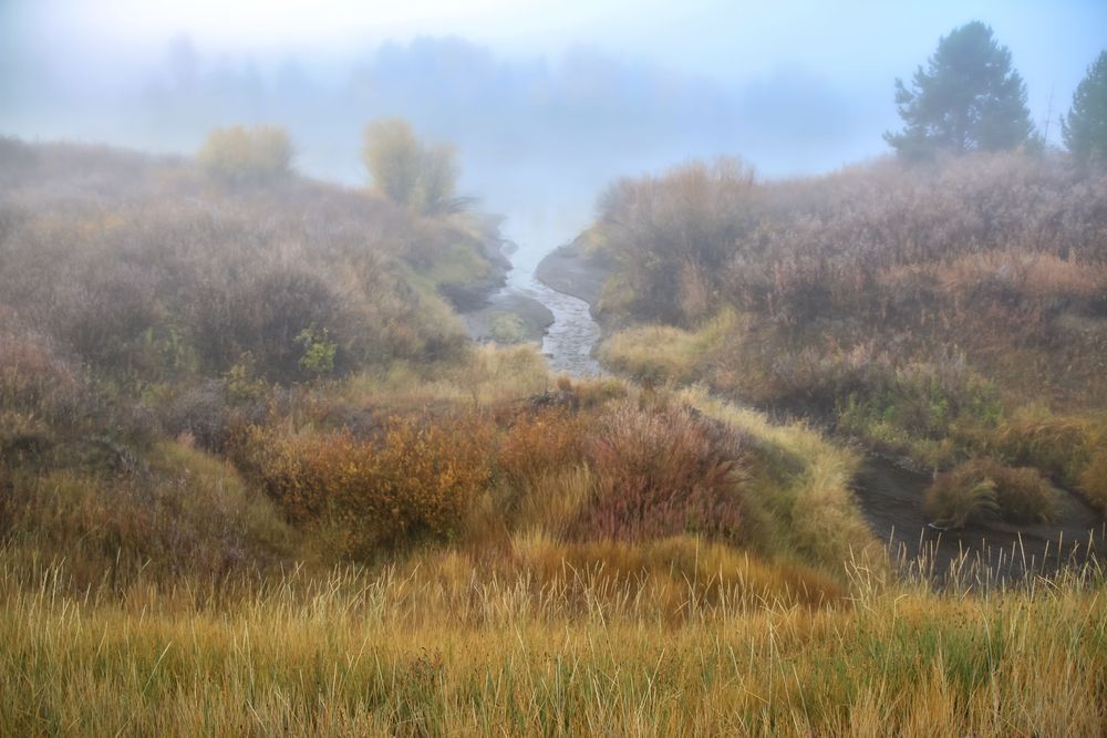 Foggy Grand Teton National Park Photography Art | Kim Clune Daydreams