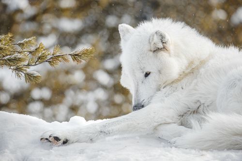 Mdawmdawmdawmdaw7qgraepd6cacehr zcfbfywxu2fyveayeunrgwctqqqltnerwweter6yomfiojy24adow ljj7f22f2vd2s3k0fn 38ezqodftc2xeuhdjufahdziomokxodj3hs jg da6ji5eudq olwagpj5emn5jfxdftd kdljhrbdt48hlkhq0izfzptgxflcxrekcxip5mk5ihxa76rhrc e2ijjvmfuwcbyysgcv bqvjy5oqct1uz6ekb88fo8laki518 cw8puwwhhoszvwp  sxhlp 0s7xv5dnixspymc4yeabpzl1yvvawmxg