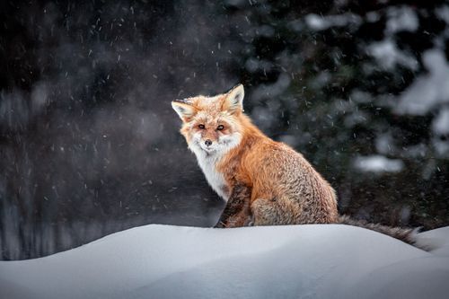 Mdawmdawmdawmdaw7qgraepd6cacehr zcfbfywxu2fyveayeunrgwctqqqltnerwweter6yomfiojy24adow ljj7f22f2vd2s3k0fn 38ezqodftc2xeuhdjufahdziomokxodj3hs jg da6ji5eudq olwagpj5emn5jfxdftd kdljhrbdt48hlkhq0jpfn5pgvdvoxrekcxip5mk9ghba76rhrc e2ijjvmfuwcbyysgcv bqvjy5oqct1uz6ekb88fo8laki518 cw8puwwhhoszvwp  sxhlp 0s7xv5dnixfgq2bjltnhhkemz6lbp9oa