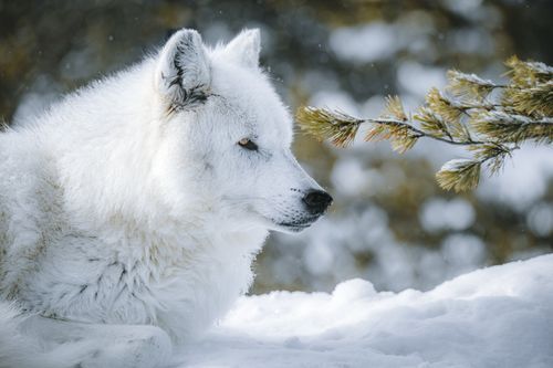 Mdawmdawmdawmdaw7qgraepd6cacehr zcfbfywxu2fyveayeunrgwctqqqltnerwweter6yomfiojy24adow ljj7f22f2vd2s3k0fn 38ezqodftc2xeuhdjufahdziomokxodj3hs jg da6ji5eudq olwagpj5emn5jfxdftd kdljhrbdt48hlkhq1i5fgrooaakcxrekcxip5mk9pfha76rhrc e2ijjvmfuwcbyysgcv bqvjy5oqct1uz6ekb88fo8laki518 cw8puwwhhoszvwp  sxhlp 0s7xv5dnixvo9jhx o4yaautmnnqz0 q
