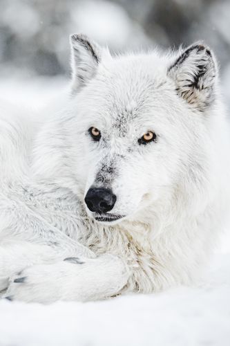 Mdawmdawmdawmdaw7qgraepd6cacehr zcfbfywxu2fyveayeunrgwctqqqltnerwweter6yomfiojy24adow ljj7f22f2vd2s3k0fn 38ezqodftc2xeuhdjufahdziomokxodj3hs jg da6ji5eudq olwagpj5emn5jfxdftd kdljhrbdt48hlkhq1jzft8dlscagxrekcxip5mkxhgha76rhrc e2ijjvmfuwcbyysgcv bqvjy5oqct1uz6ekb88fo8laki518 cw8puwwhhoszvwp  sxhlp 0s7xv5dnixw3o8nkjrt8e8zw1r7xbkja