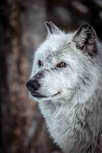 Mdawmdawmdawmdaw7qgraepd6cacehr zcfbfywxu2fyveayeunrgwctqqqltnerwweter6yomfiojy24adow ljj7f22f2vd2s3k0fn 38ezqodftc2xeuhdjufahdziomokxodj3hs jg da6ji5eudq olwagpj5emn5jfxdftd kdljhrbdt48hlkhq2i5ft9o5weaixrekcxip5mkbjfxa76rhrc e2ijjvmfuwcbyysgcv bqvjy5oqct1uz6ekb88fo8laki518 cw8puwwhhoszvwp  sxhlp 0s7xv5dnix8gewfbmeaenq6aomfpal0a