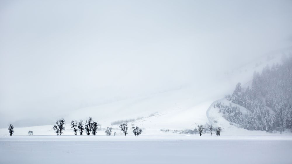 Snow Wall, Jackson, Wyoming Photography Art | Kim Clune Daydreams