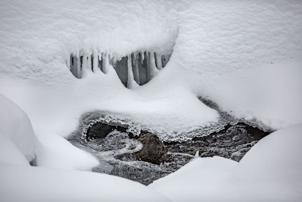 Breaking Through, Yellowstone Photography Art | Kim Clune Daydreams