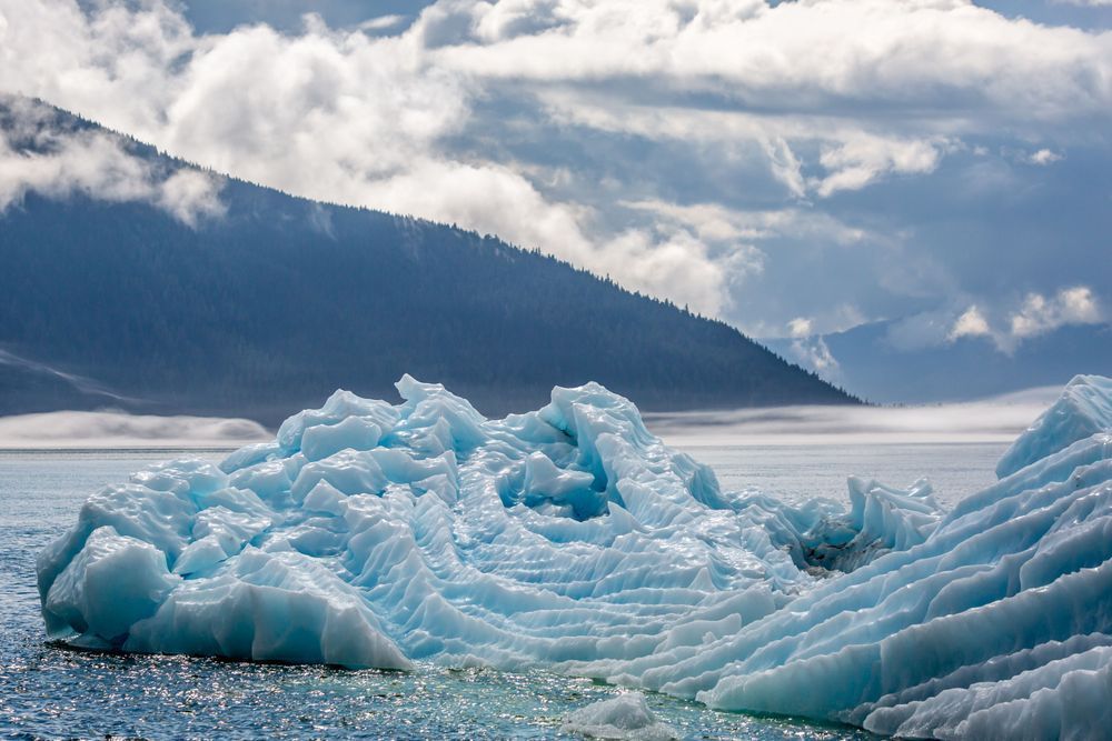 Kim Clune Photography: Ice Ripples
