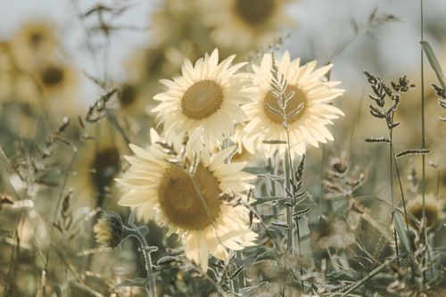 Mdawmdawmdawmdaw7qgraepd6cacehr zcfbfywxu2fyveayeunrgwctqqqltnerwweter6yomfiojy24adow ljj7f22f2vd2s3k0fn 38ezqodftc2xeuhdjufahdziomokxodj3hs jg da6ji5eudq olwagpj5emn5jfxdftd kdljhvant7mnxacf3zzenrn89a77maohb3yj n69hhglnq hntawl2n8znu  bak1urwx8x3kcltgqzjcr2zf2figndhuggl4nnpbho9uscqa gjh1ij5elazilzyrk1rs7pa61k4fj5 pymi3qwv0gdruvfyuji