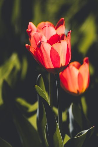 Mdawmdawmdawmdaw7qgraepd6cacehr zcfbfywxu2fyveayeunrgwctqqqltnerwweter6yomfiojy24adow ljj7f22f2vd2s3k0fn 38ezqodftc2xeuhdjufahdziomokxodj3hs jg da6ji5eudq olwagpj5emn5jfxdftd kdljhvazp48vfkhq0ijfxri0wdksxrekcxip5kalggha76rhrc e2ijjvmfuwcbyysgcv bqvjy5oqct1uz6ekb88fo8laki518 cw8puwwhhoszvwp  sxhlp 0s7xv5dnixvadzabq t8sov oi6cptzw