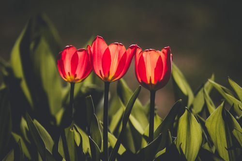 Mdawmdawmdawmdaw7qgraepd6cacehr zcfbfywxu2fyveayeunrgwctqqqltnerwweter6yomfiojy24adow ljj7f22f2vd2s3k0fn 38ezqodftc2xeuhdjufahdziomokxodj3hs jg da6ji5eudq olwagpj5emn5jfxdftd kdljhvazp48vfkhq1ipf08p4xuagxrekcxip5nqbghxa76rhrc e2ijjvmfuwcbyysgcv bqvjy5oqct1uz6ekb88fo8laki518 cw8puwwhhoszvwp  sxhlp 0s7xv5dnixr ijrozndzwqm4xsigujta
