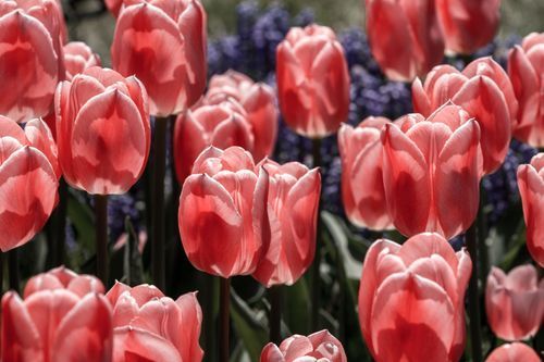Mdawmdawmdawmdaw7qgraepd6cacehr zcfbfywxu2fyveayeunrgwctqqqltnerwweter6yomfiojy24adow ljj7f22f2vd2s3k0fn 38ezqodftc2xeuhdjufahdziomokxodj3hs jg da6ji5eudq olwagpj5emn5jfxdftd kdljhvazp48vfkhq2jzfl95snavexrekcxip5kathgha76rhrc e2ijjvmfuwcbyysgcv bqvjy5oqct1uz6ekb88fo8laki518 cw8puwwhhoszvwp  sxhlp 0s7xv5dnix6vphoclh 3widjezkx1jia