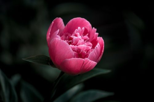 Mdawmdawmdawmdaw7qgraepd6cacehr zcfbfywxu2fyveayeunrgwctqqqltnerwweter6yomfiojy24adow ljj7f22f2vd2s3k0fn 38ezqodftc2xeuhdjufahdziomokxodj3hs jg da6ji5eudq olwagpj5emn5jfxdftd kdljhvazp48vfkhqxipfn8iaaabkxrekcxip5kapkgra76rhrc e2ijjvmfuwcbyysgcv bqvjy5oqct1uz6ekb88fo8laki518 cw8puwwhhoszvwp  sxhlp 0s7xv5dnix0wv5ctofhnzaqk1nc4o8zq