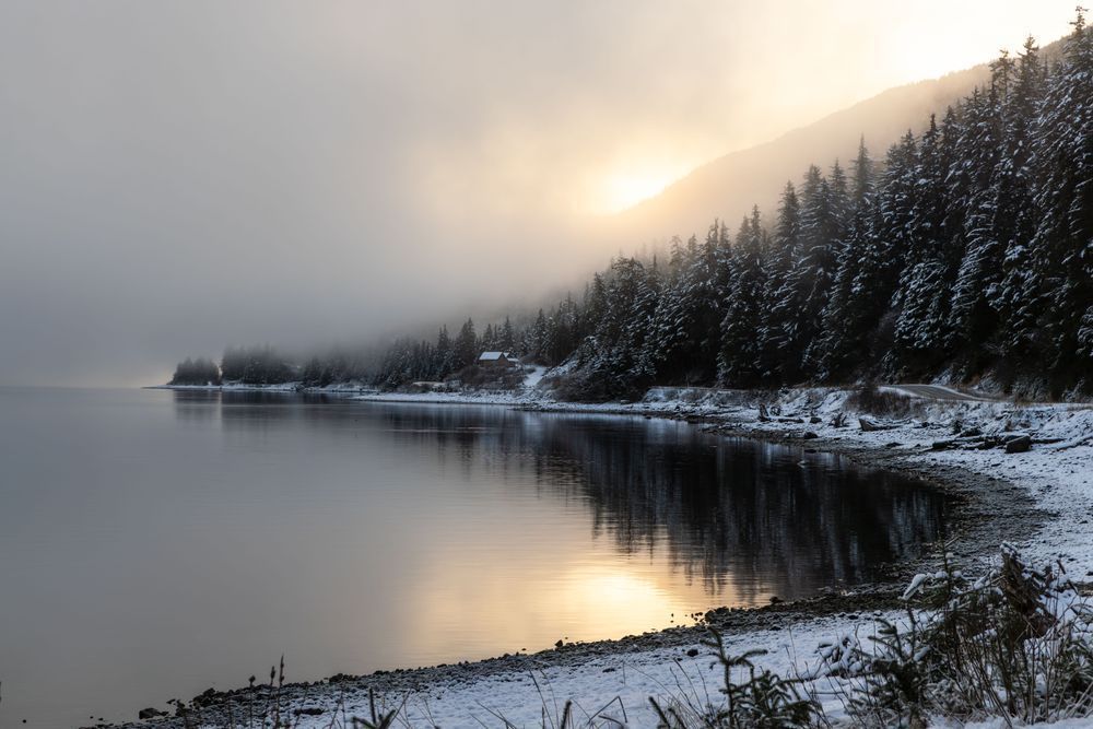 Foggy Glow , Haines, Ak Photography Art | Kim Clune Daydreams