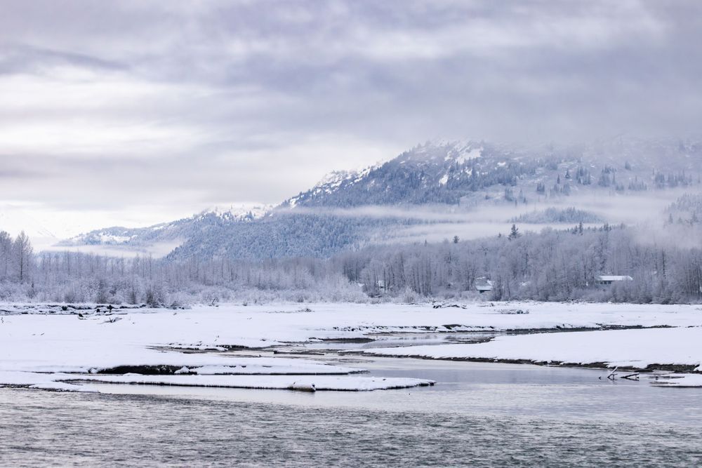 Klukwan, Haines, Ak Photography Art | Kim Clune Daydreams