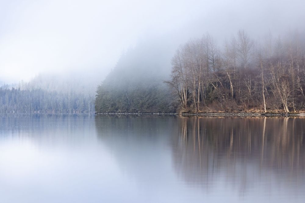 In The Mist, Chilkoot Lake, Haines, Ak Photography Art | Kim Clune Daydreams
