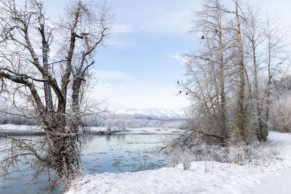 Blue Beauty, Chilkat River, Haines, Ak Photography Art | Kim Clune Daydreams