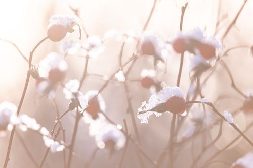 Mdawmdawmdawmdaw7qgraepd6cacehr zcfbfywxu2fyveayeunrgwctqqqltnerwweter6yomfiojy24adow ljj7f22f2vd2s3k0fn 38ezqodftc2xeuhdjufahdziomokxodj3hs jg da6ji5eudq olwagpj5emn5kdxsca8dqkxchbht 5tdwemkxijfz j8pa7cxregdwob8m61lhxa76rhrc e2ijjvmfuwcbyysgcv bqvjy5oqct1uz6ekb88fo8laki518 cw8puwwhhoszvwp  sxhlp 0s7xv5dnixtxnyd qktmweocwllc7z2g