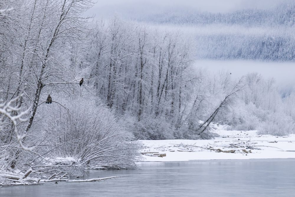 Surveyed Shores, Chilkat Valley, Haines, Ak Photography Art | Kim Clune Daydreams