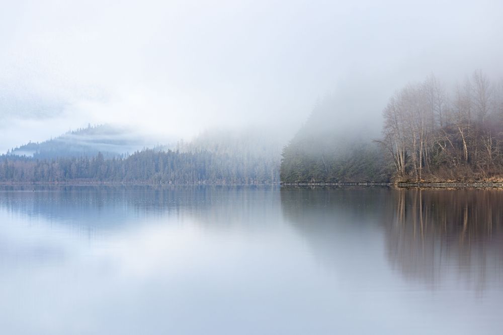 Misty Morning, Chilkoot Lake, Haines, Ak Photography Art | Kim Clune Daydreams