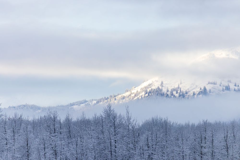 Atmospheric, Chilkat Valley, Haines, Ak Photography Art | Kim Clune Daydreams