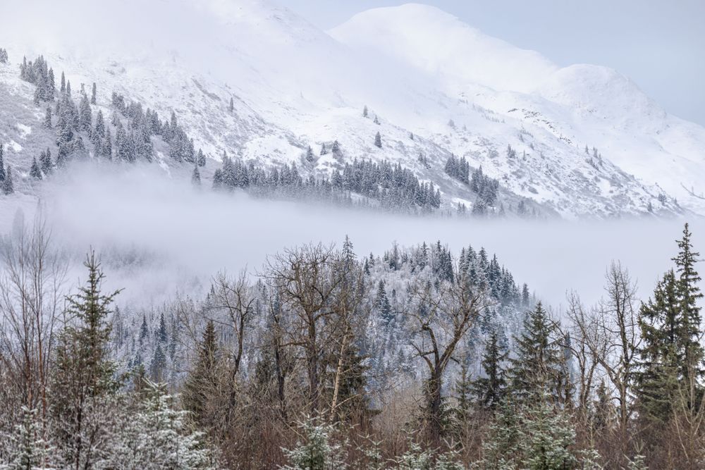 Valley Of  The Mist, Haines, Ak Photography Art | Kim Clune Daydreams