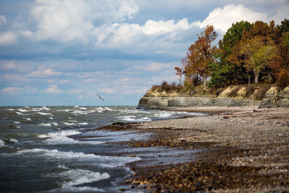 Point Breeze Beach, New York Photography Art | Kim Clune Daydreams