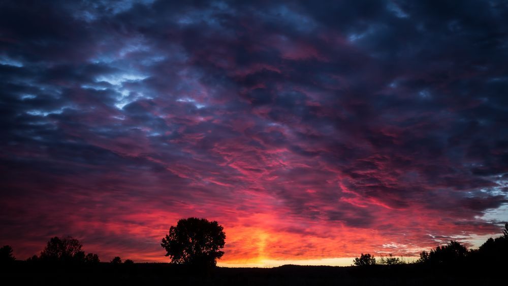 Smith's Fields Sunrise Photography Art | Kim Clune Daydreams