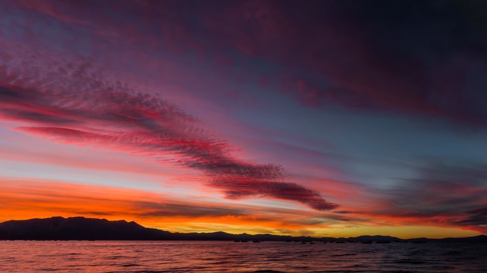 Tahoe Pink Photography Art | Kim Clune Daydreams