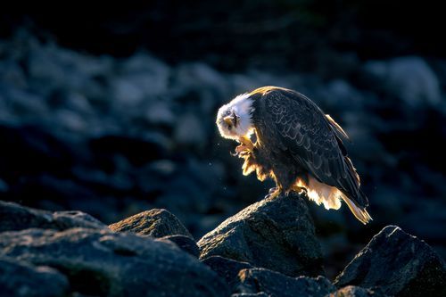 Mdawmdawmdawmdaw7qgraepd6cacehr zcfbfywxu2fyveayeunrgwctqqqltnerwweter6yomfiojy24adow ljj7f22f2vd2s3k0fn 38ezqodftc2xeuhdjufahdziomokxodj3hs jg da6ji5eudq olwagpj5emn5sznilufh4elm1rgrj1cfbka9se5fu8p4maoqsq4bamnl 0ebqhwlkqex4e z0zh1rmvr9l onta8u4q ibbhy 8fouj2ekcyrnye gra3z4wvw8bvwwhrtn4ah9qhvl4ryu8m9gc goseswzfnnj 8ehs jv6yjxphofvtc5hyuj2aq