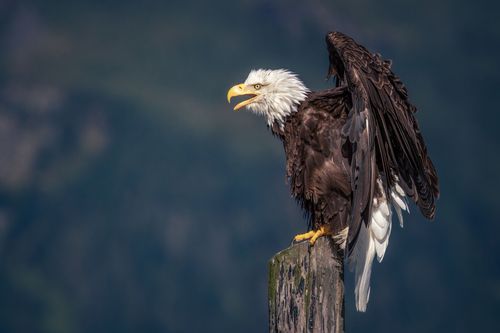Mdawmdawmdawmdaw7qgraepd6cacehr zcfbfywxu2fyveayeunrgwctqqqltnerwweter6yomfiojy24adow ljj7f22f2vd2s3k0fn 38ezqodftc2xeuhdjufahdziomokxodj3hs jg da6ji5eudq olwagpj5emn5sznilufh4elm1rgrj1cfbka9se5fu8p4maoqsrybcmsekmebqhwlkqex4e 3wyh1rmvr9l onta8u4q ibbhy 8fouj2ekcyrnye gra3z4wvw8bvwwhrtn4ah9qhvl4ryu8m9gc goseswzfnnj 8ehsry8218cuvu0ryhxcmsvkrg