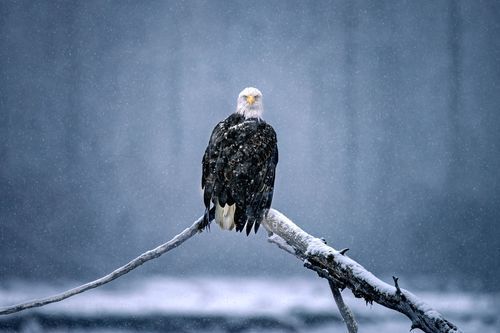 Mdawmdawmdawmdaw7qgraepd6cacehr zcfbfywxu2fyveayeunrgwctqqqltnerwweter6yomfiojy24adow ljj7f22f2vd2s3k0fn 38ezqodftc2xeuhdjufahdziomokxodj3hs jg da6ji5eudq olwagpj5emn5sznilufh4elm1rgrj1cfbka9se5fu8p4maoqvk69si8oo2rzogqtiqef8fod31jlljb ziawhxwaj9ab crrn4sdpt2yc8ozydjajbkiv18uqx8rid2 f hmmidw9aeykz 86 figffsc r5qmdiy0ch2wmydqyvnbcuyv9vmag k