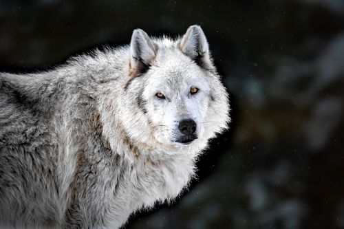 Mdawmdawmdawmdaw7qgraepd6cacehr zcfbfywxu2fyveayeunrgwctqqqltnerwweter6yomfiojy24adow ljj7f22f2vd2s3k0fn 38ezqodftc2xeuhdjufahdziomokxodj3hs jg da6ji5eudq olwagpj5emn5ve3guufljfgkifil248jnnchweks6qts9b6z3da5t3yj na9jgapgq  ntawl2n8znu  bak1urwx8x3kcltgqzjcr2zf2figndhuggl4nnpbho9uscqa gjh1ij5elazilzyrk1rs7pa61k4fatz jmvnnf kmrjw mm1oc
