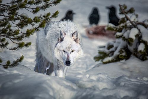 Mdawmdawmdawmdaw7qgraepd6cacehr zcfbfywxu2fyveayeunrgwctqqqltnerwweter6yomfiojy24adow ljj7f22f2vd2s3k0fn 38ezqodftc2xeuhdjufahdziomokxodj3hs jg da6ji5eudq olwagpj5emn5ve3guufljfgkifil248jnnchweks6r9k9d6xyblub3yj na9jgapjo 7ntawl2n8znu  bak1urwx8x3kcltgqzjcr2zf2figndhuggl4nnpbho9uscqa gjh1ij5elazilzyrk1rs7pa61k4fip6el 5ibws90uyfkrc9mo