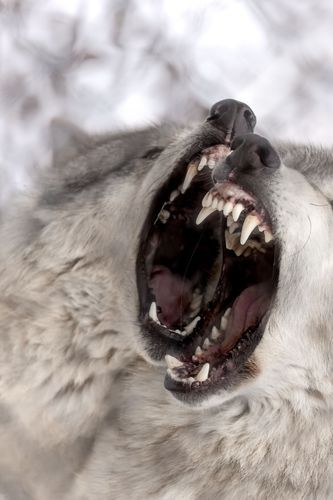 Mdawmdawmdawmdaw7qgraepd6cacehr zcfbfywxu2fyveayeunrgwctqqqltnerwweter6yomfiojy24adow ljj7f22f2vd2s3k0fn 38ezqodftc2xeuhdjufahdziomokxodj3hs jg da6ji5eudq olwagpj5emn5ve3guufljfgkifil248jnnchweks6r9o9ekwudavo3yj na9jgapgrulntawl2n8znu  bak1urwx8x3kcltgqzjcr2zf2figndhuggl4nnpbho9uscqa gjh1ij5elazilzyrk1rs7pa61k4fay1ijuqkxk wknwusx92b4