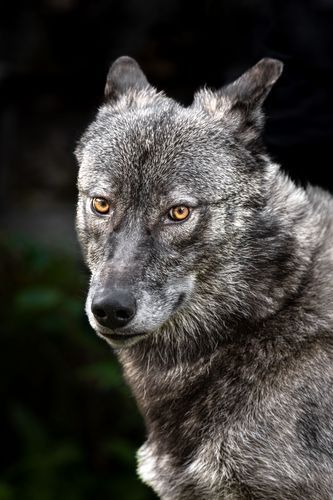 Mdawmdawmdawmdaw7qgraepd6cacehr zcfbfywxu2fyveayeunrgwctqqqltnerwweter6yomfiojy24adow ljj7f22f2vd2s3k0fn 38ezqodftc2xeuhdjufahdziomokxodj3hs jg da6ji5eudq olwagpj5emn5ve3guufljfgkifil248jnnchweks6rn09fkmpeahq3yj na9jga1no 7ntawl2n8znu  bak1urwx8x3kcltgqzjcr2zf2figndhuggl4nnpbho9uscqa gjh1ij5elazilzyrk1rs7pa61k4fprrgyyhe61k3kf3aeqoajs