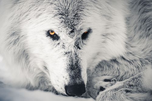 Mdawmdawmdawmdaw7qgraepd6cacehr zcfbfywxu2fyveayeunrgwctqqqltnerwweter6yomfiojy24adow ljj7f22f2vd2s3k0fn 38ezqodftc2xeuhdjufahdziomokxodj3hs jg da6ji5eudq olwagpj5emn5ve3guufljfgkifil248jnnchweks6rdg9aqh1aqlm3yj na9jga1pqepntawl2n8znu  bak1urwx8x3kcltgqzjcr2zf2figndhuggl4nnpbho9uscqa gjh1ij5elazilzyrk1rs7pa61k4fgosozw4s 3ylpcilcrl1 y