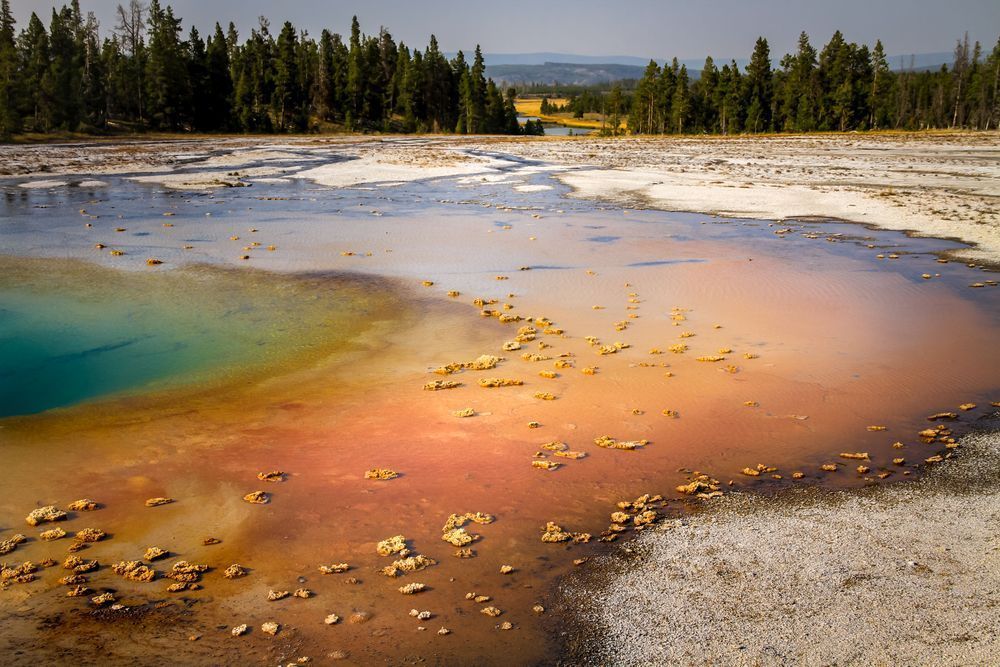 Grand Prismatic Spring, Yellowstone Photography Art | Kim Clune Daydreams